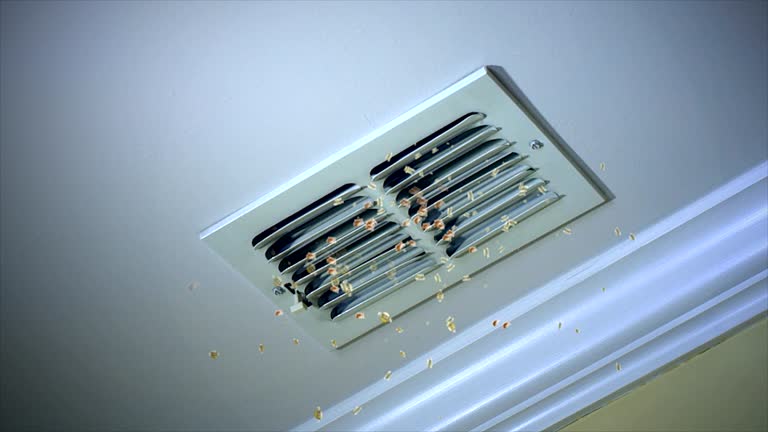 Best Commercial Air Duct Cleaning  in Eagle Lake, WI
