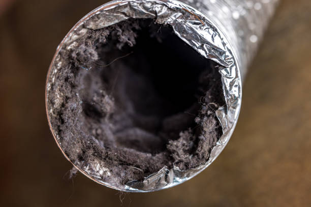 Best Best Air Duct Cleaning Company  in Eagle Lake, WI