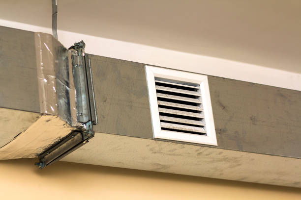 Best General Air Duct Cleaning  in Eagle Lake, WI
