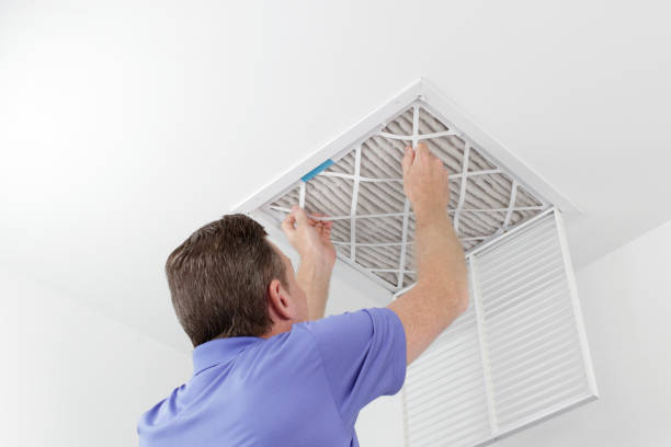 Best Air Duct Sanitizing Services  in Eagle Lake, WI